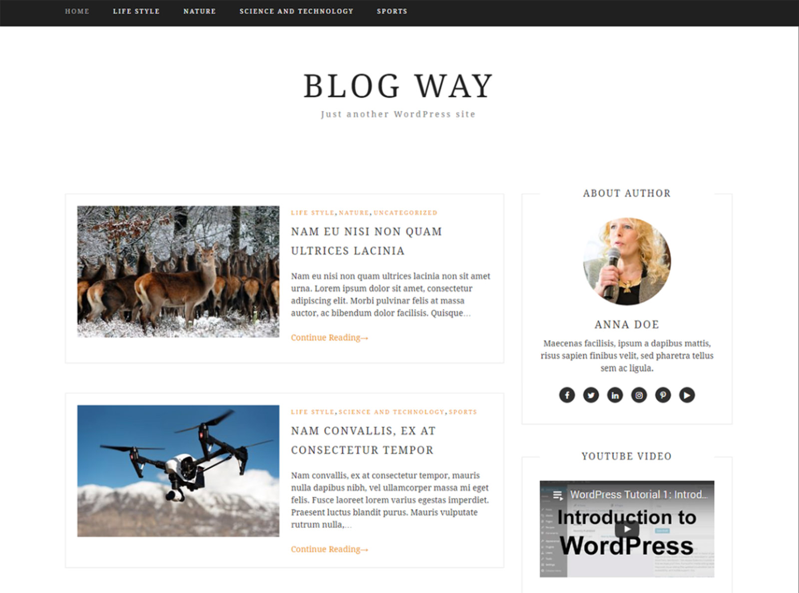 Blog Way Theme Design