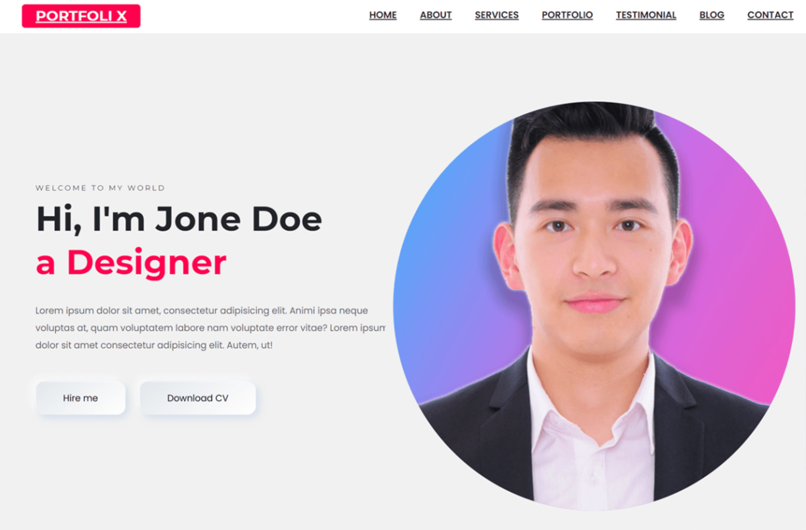PortfolioX Theme Demo